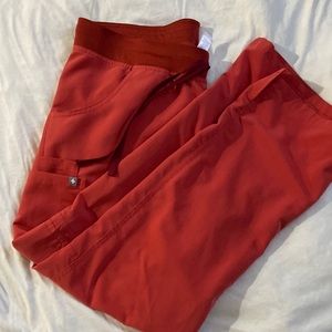 Figs Clay Large Petite pants